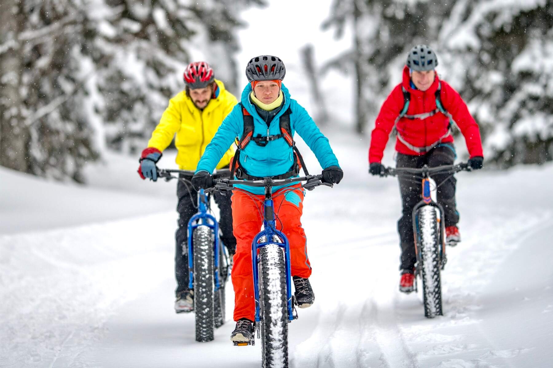 fat bike trials