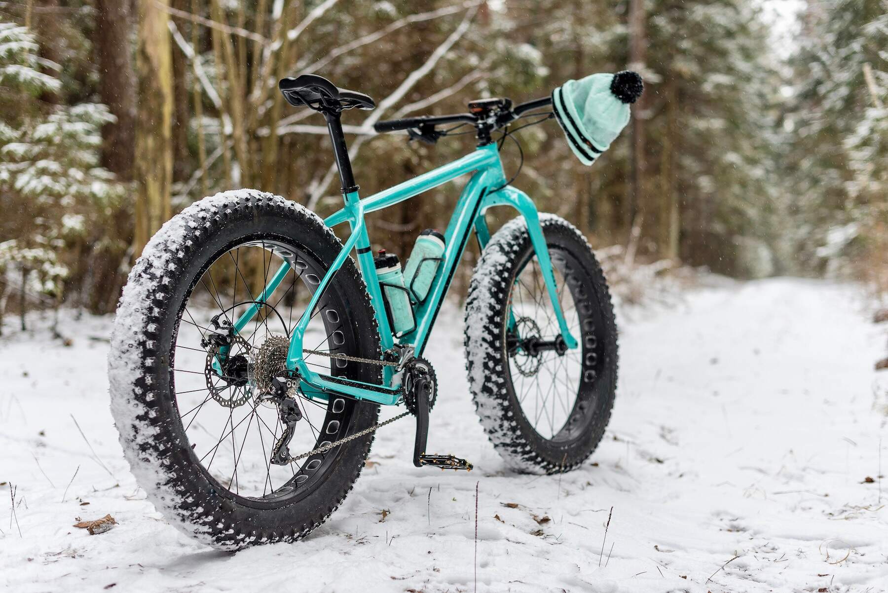 Top 15 Fat Bike - [Make It Your Own]